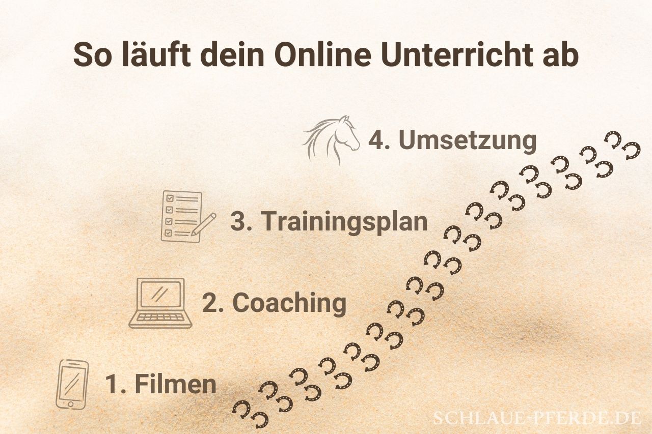 Ablauf Online Unterricht - Pferdetraining, Clickertraining, Reiten