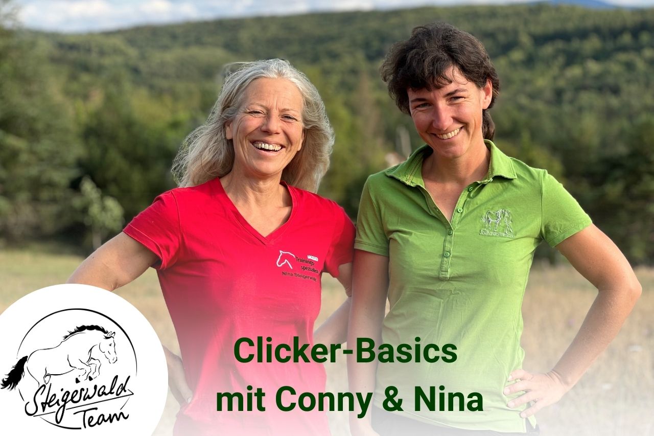 Futterhöflichkeit, Futtererziehung, Grundlage Clickertraining für Einsteiger