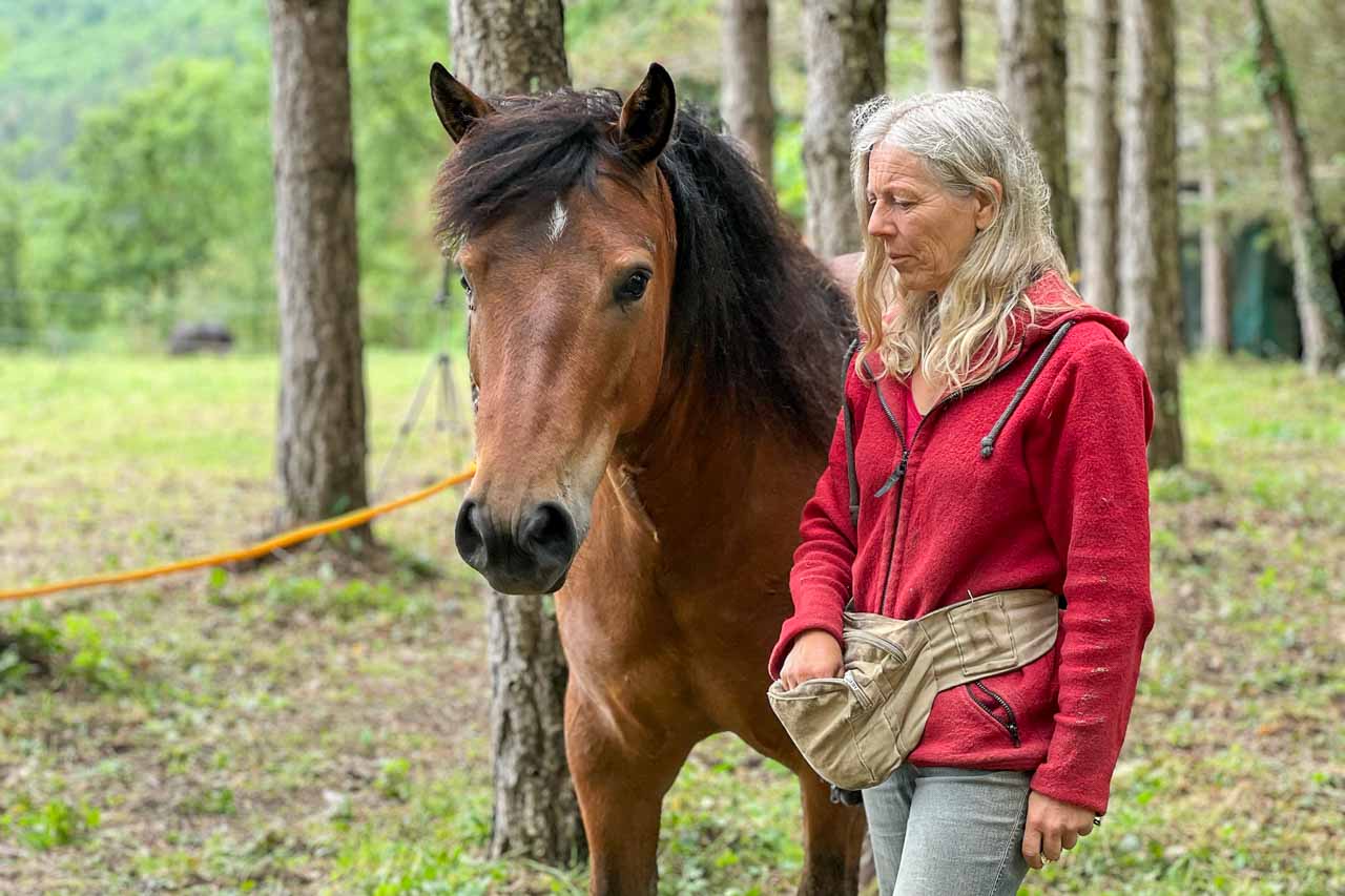 Clickertraining, Futterhöflichkeit als Basis trainieren