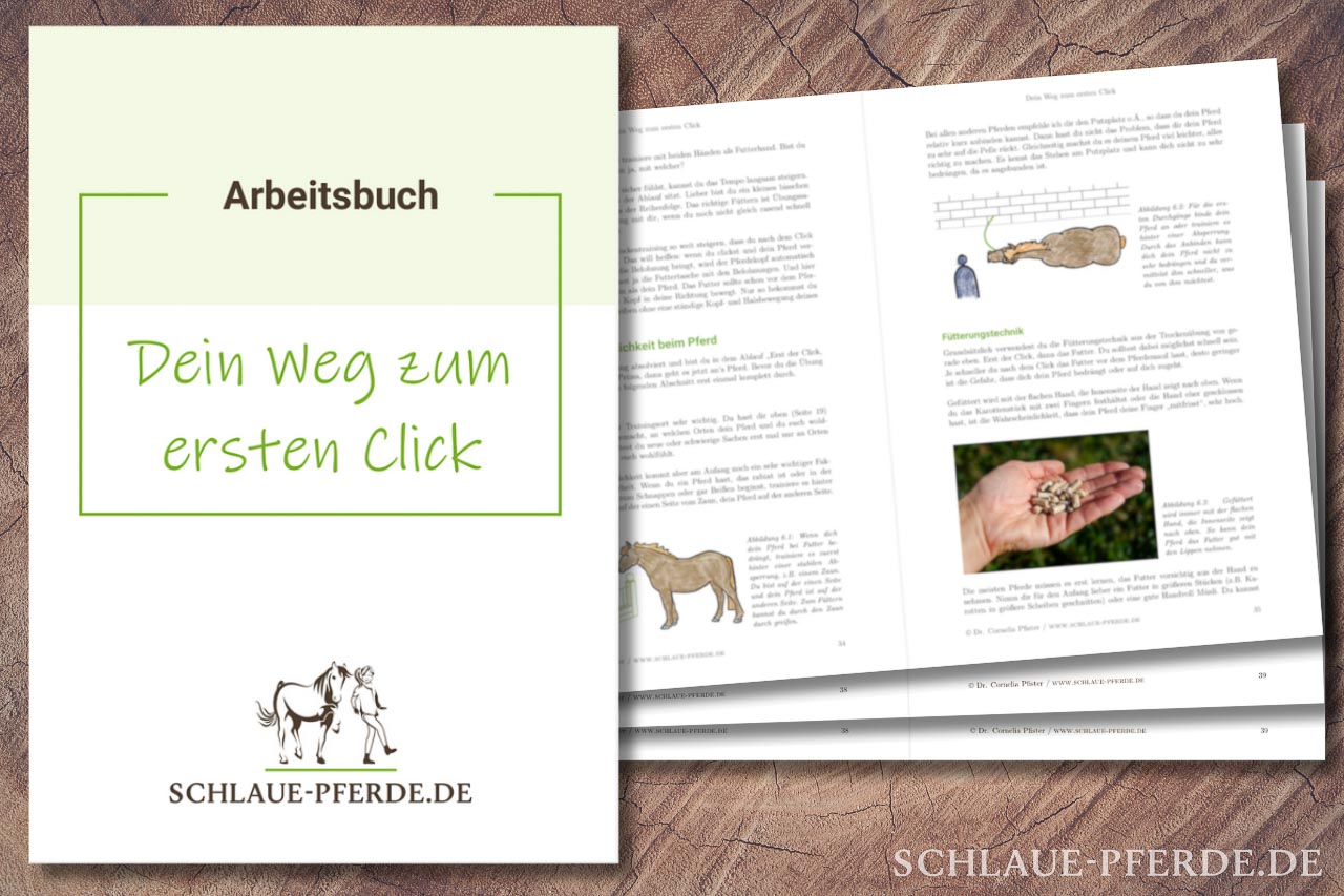 Buchvorschau: Dein Weg zum ersten Click; Buch zum Thema Einstieg in das Clickertraining, Pferdetraining, Anfänger, Conny Pfister, positive Verstärkung, Rplus, Pferdetraining, Online Unterricht