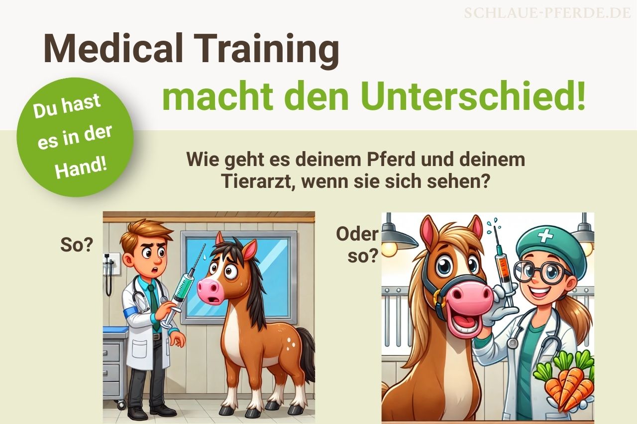 Medical Training für Pferde - Hat dein Pferd Angst vor dem Tierarzt? - Du hast es in der Hand! Hilfe online und vor Ort im Raum München, Erding, Freising, Taufkirchen