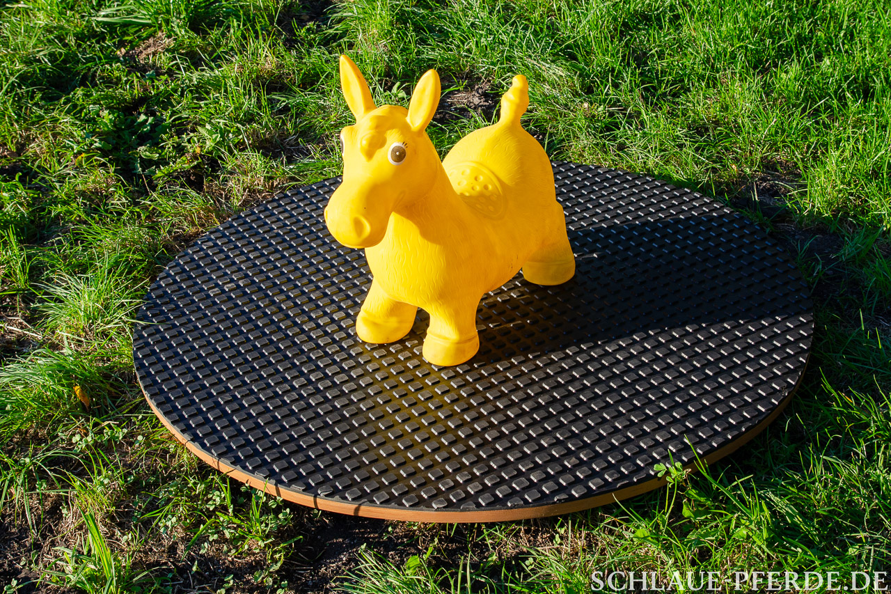 Horse Agility, Drehteller