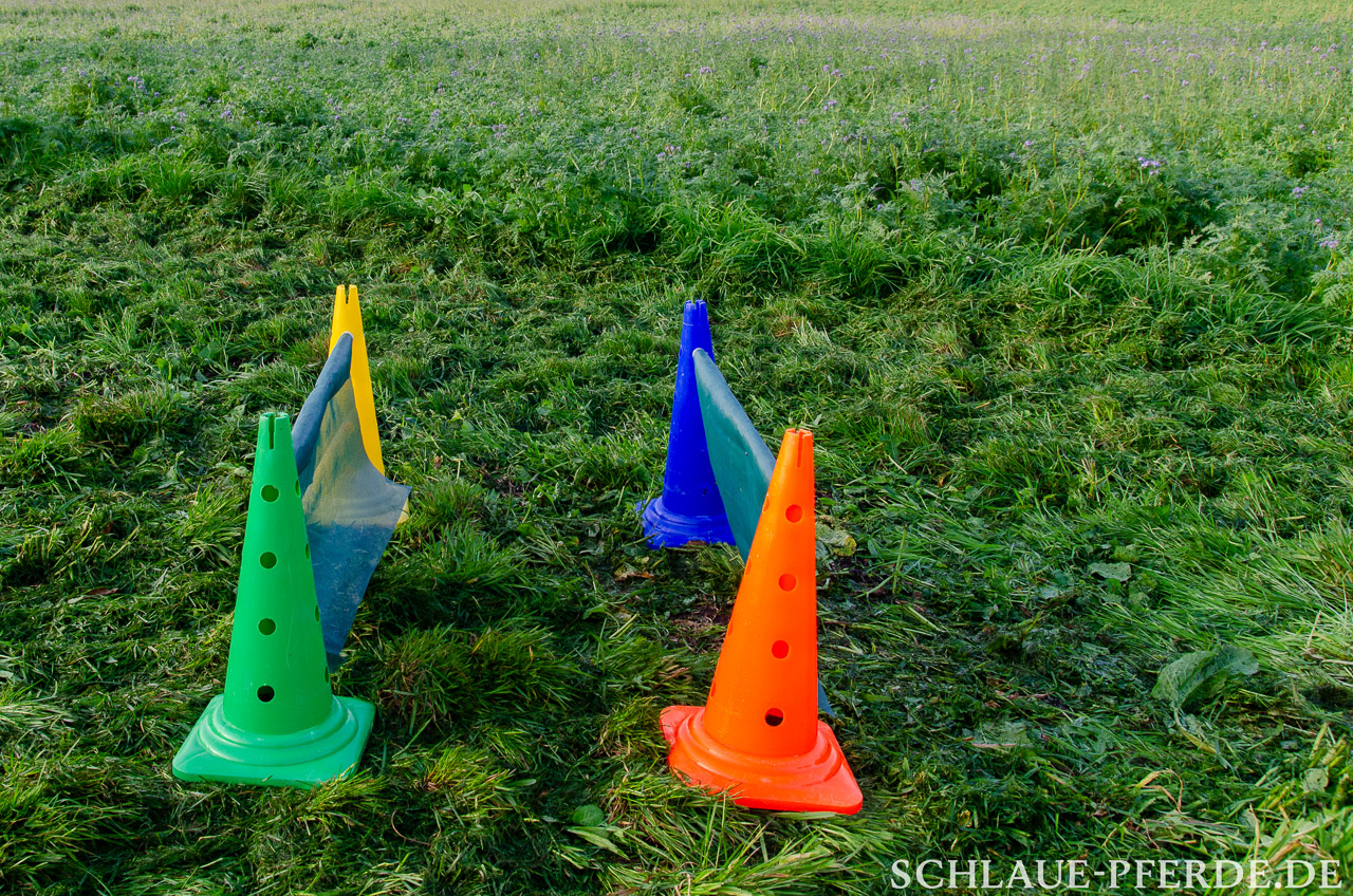 Gasse, Schrecktraining, Hindernis mobiler Parcours, Horse Agility Parcours, Trailparcours, Gelassenheitsparcours