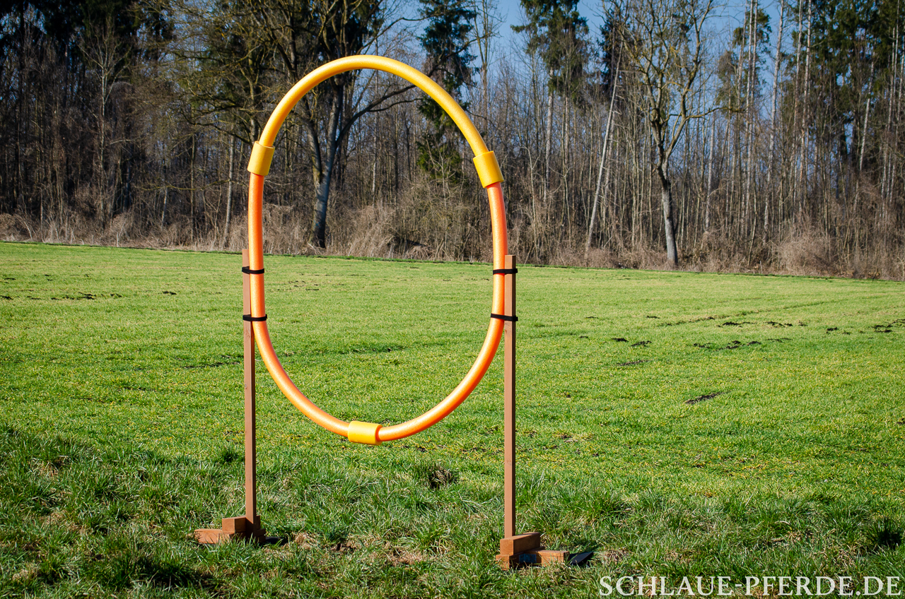 Reifensprung, Hindernis mobiler Parcours, Horse Agility Parcours, Trailparcours, Gelassenheitsparcours