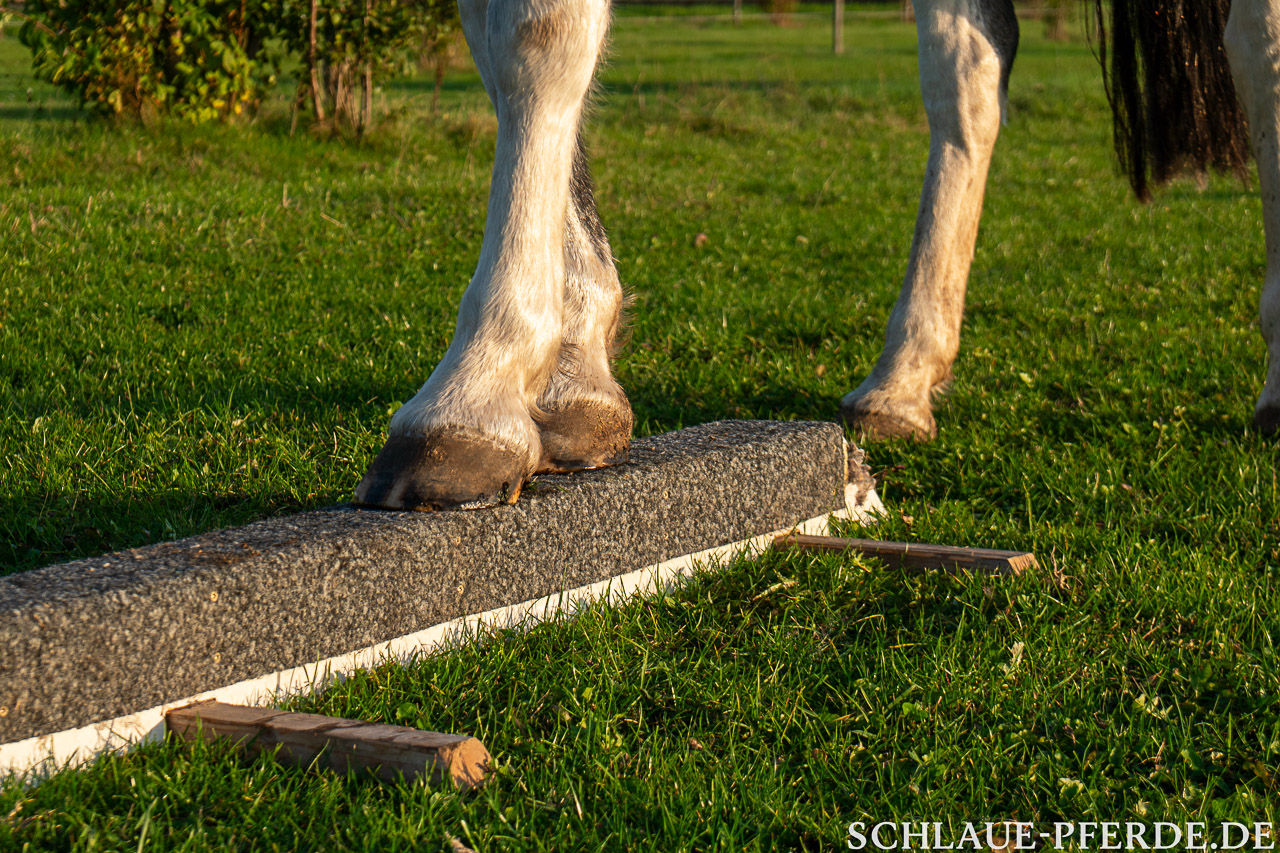 Schwebebalken, Hindernis mobiler Parcours, Horse Agility Parcours, Trailparcours, Gelassenheitsparcours