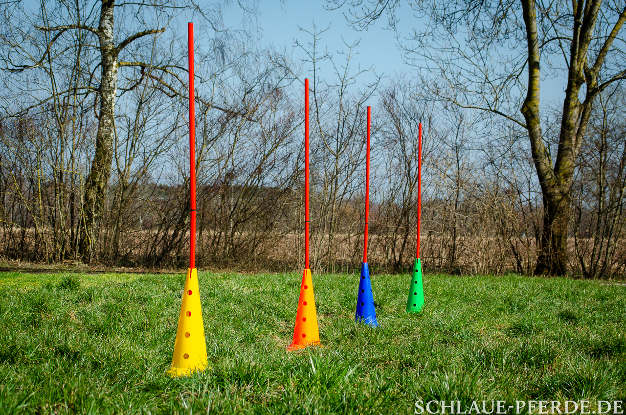 Slalom, Hindernis mobiler Parcours, Horse Agility Parcours, Trailparcours, Gelassenheitsparcours