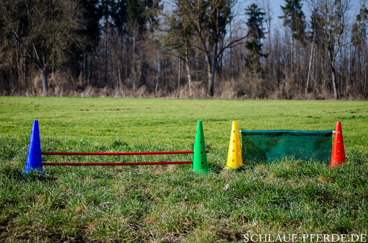 kleine Sprünge, Hindernis mobiler Parcours, Horse Agility Parcours, Trailparcours, Gelassenheitsparcours