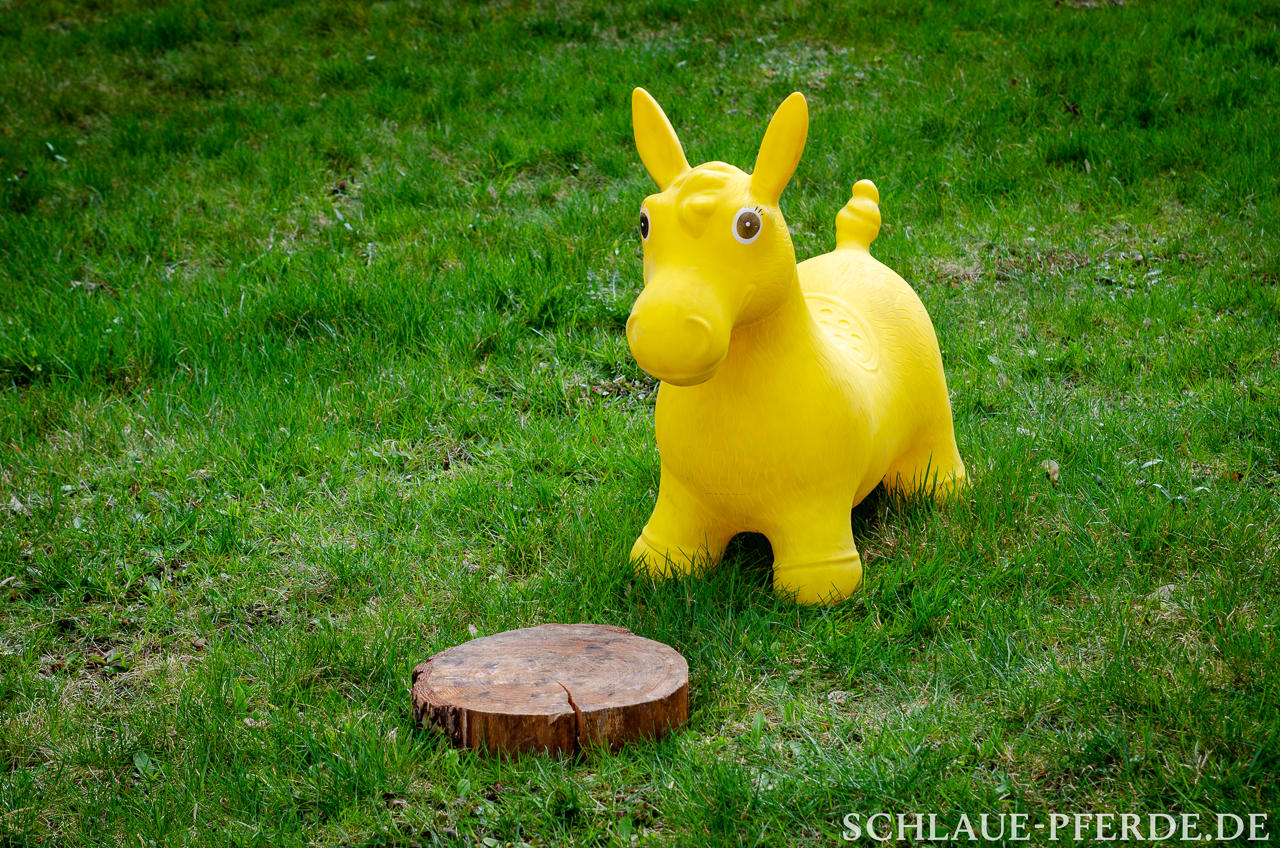 Stepper, Hindernis mobiler Parcours, Horse Agility Parcours, Trailparcours, Gelassenheitsparcours