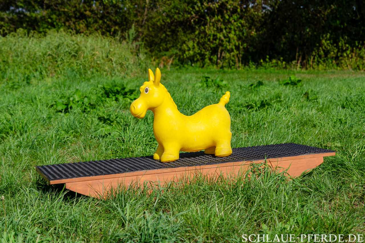 Pferdewippe, Ganzkörperwippe, Wippentraining, Horse Agility