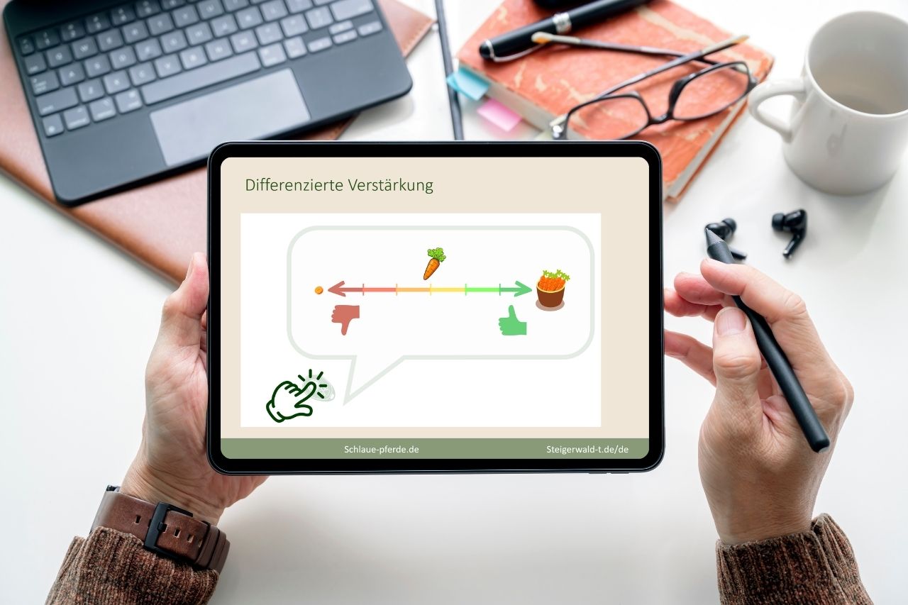 Mockup Webinar Grundlagen Clickern mit Pferd