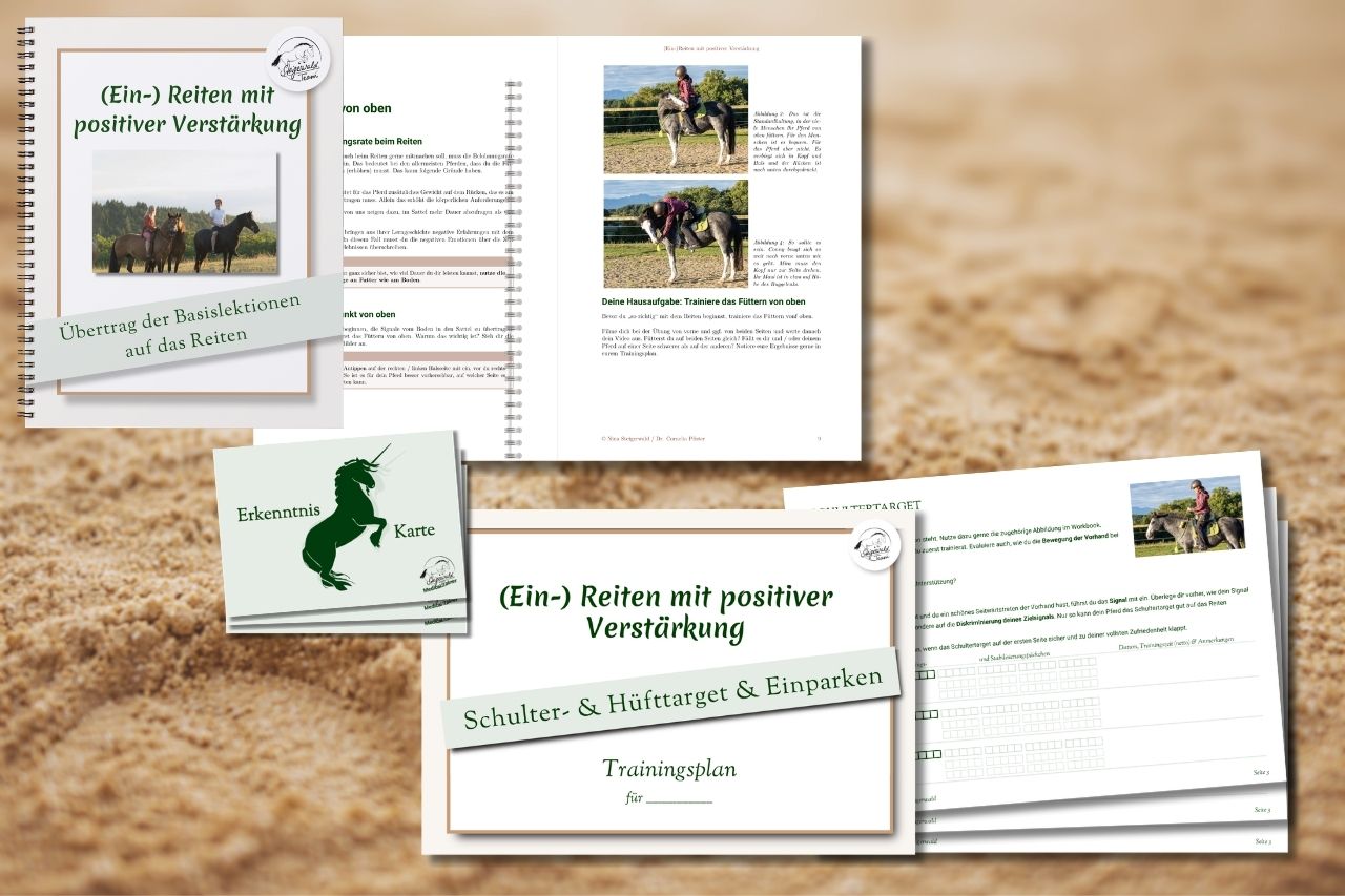 Reiten mit positiver Verstärkung, Clickertraining, Kurs, Online Lernen, Jungpferde ausbilden, Reitpferd