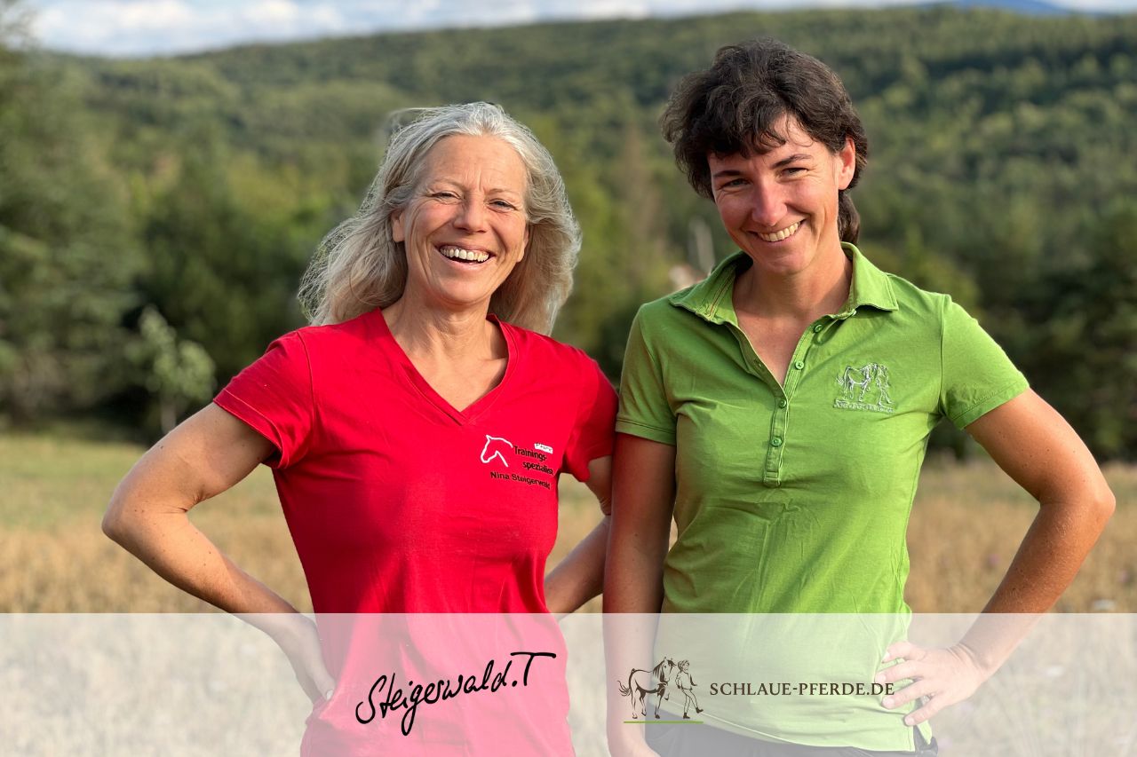 Reiten mit positiver Verstärkung, Clickertraining, Kurs, Online Lernen, Jungpferde ausbilden