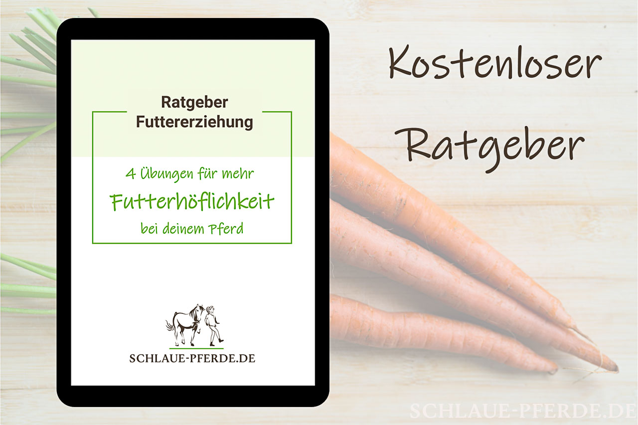 Vorschau für den kostenlosen Ratgeber /E-Book: 4 Übungen für mehr Futterhöflichkeit bei deinem Pferd, Futtererziehung, Conny Pfister, Tutorial, Pferd, pdf, Pferdetraining, Online Unterricht