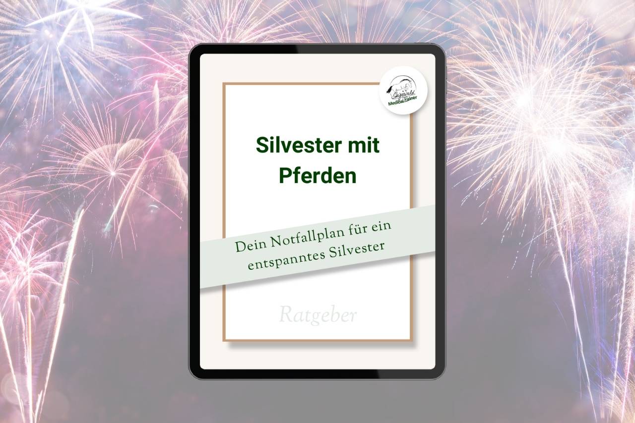 Silvester-Challenge, Silvestertraining mit Pferd, Pferd entspannt bei Silvster, Nina Steigerwald, Anna Munkler, Conny Pfister, Pferdetraining, Kostenloser Ratgeber