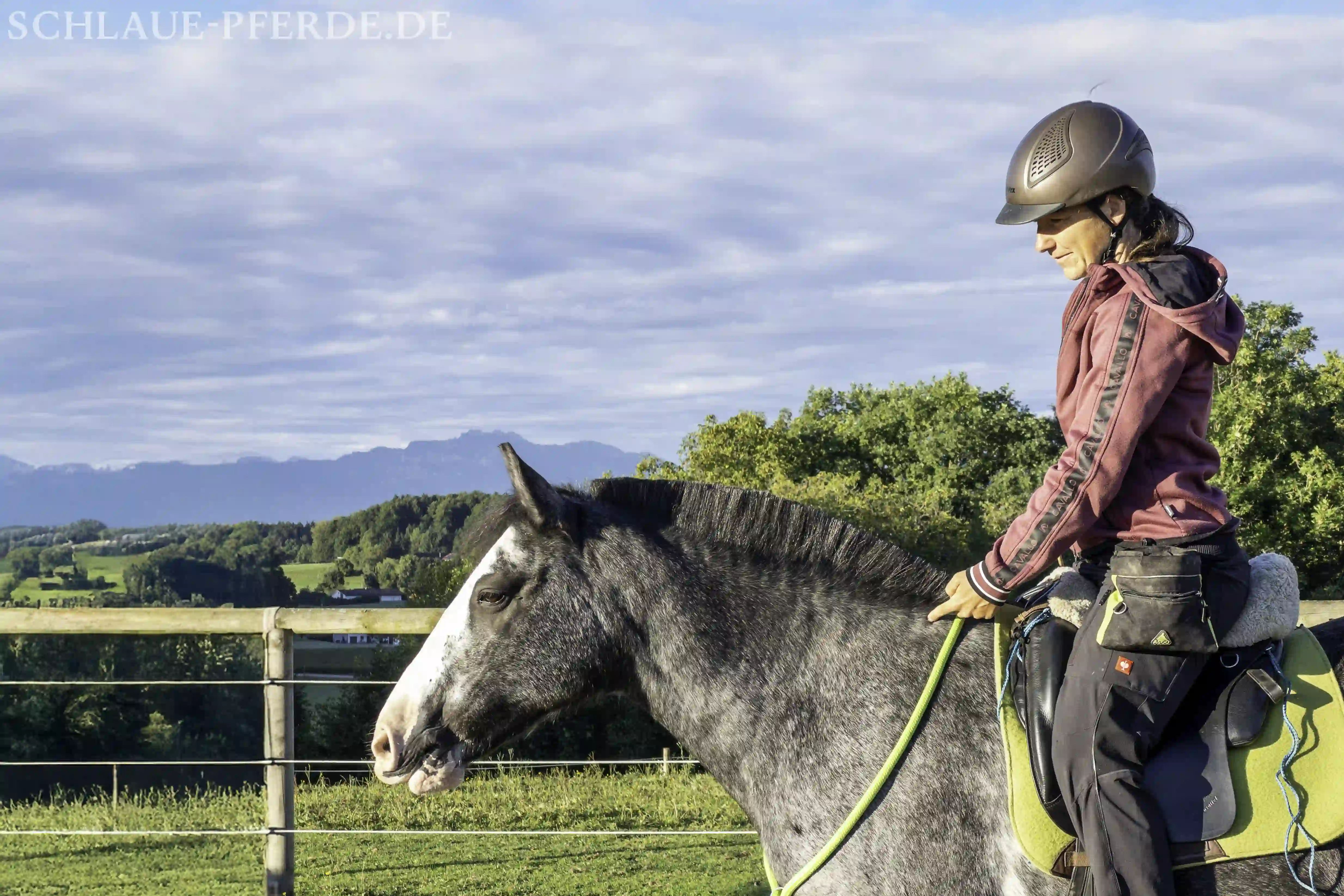 Reiten mit dem Clicker und feinen Hilfen, Halsring