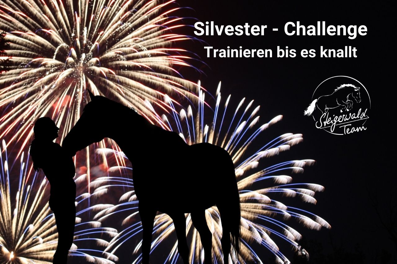 Silvester-Challenge, Silvestertraining mit Pferd, Pferd entspannt bei Silvster, Nina Steigerwald, Anna Munkler, Conny Pfister, Pferdetraining, Online Unterricht