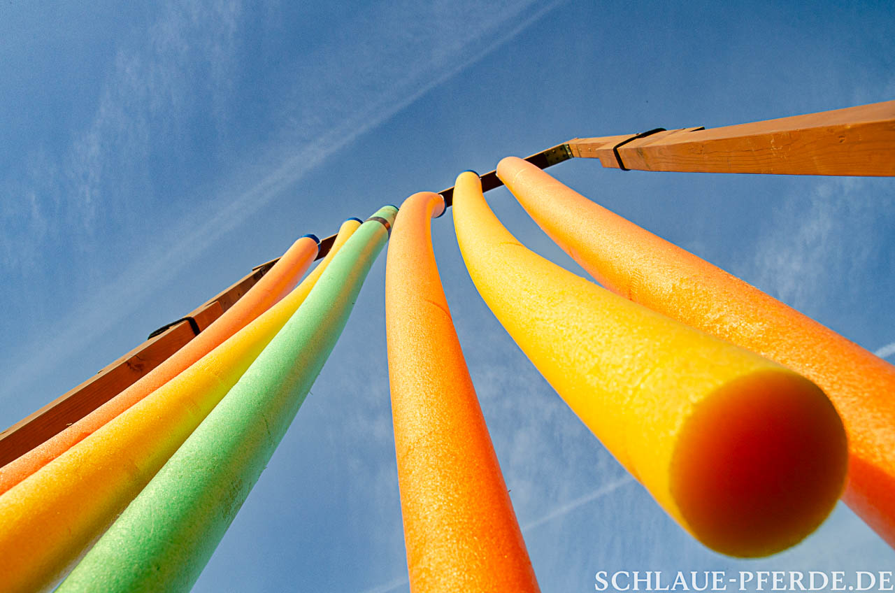 Pferdetraining mit dem mobilen Trailparcours, Gelassenheitsparcours in München und Umgebung, Conny Pfister, Reittrainer, Horsemanship, Reitunterricht, Trail, Pferdetraining