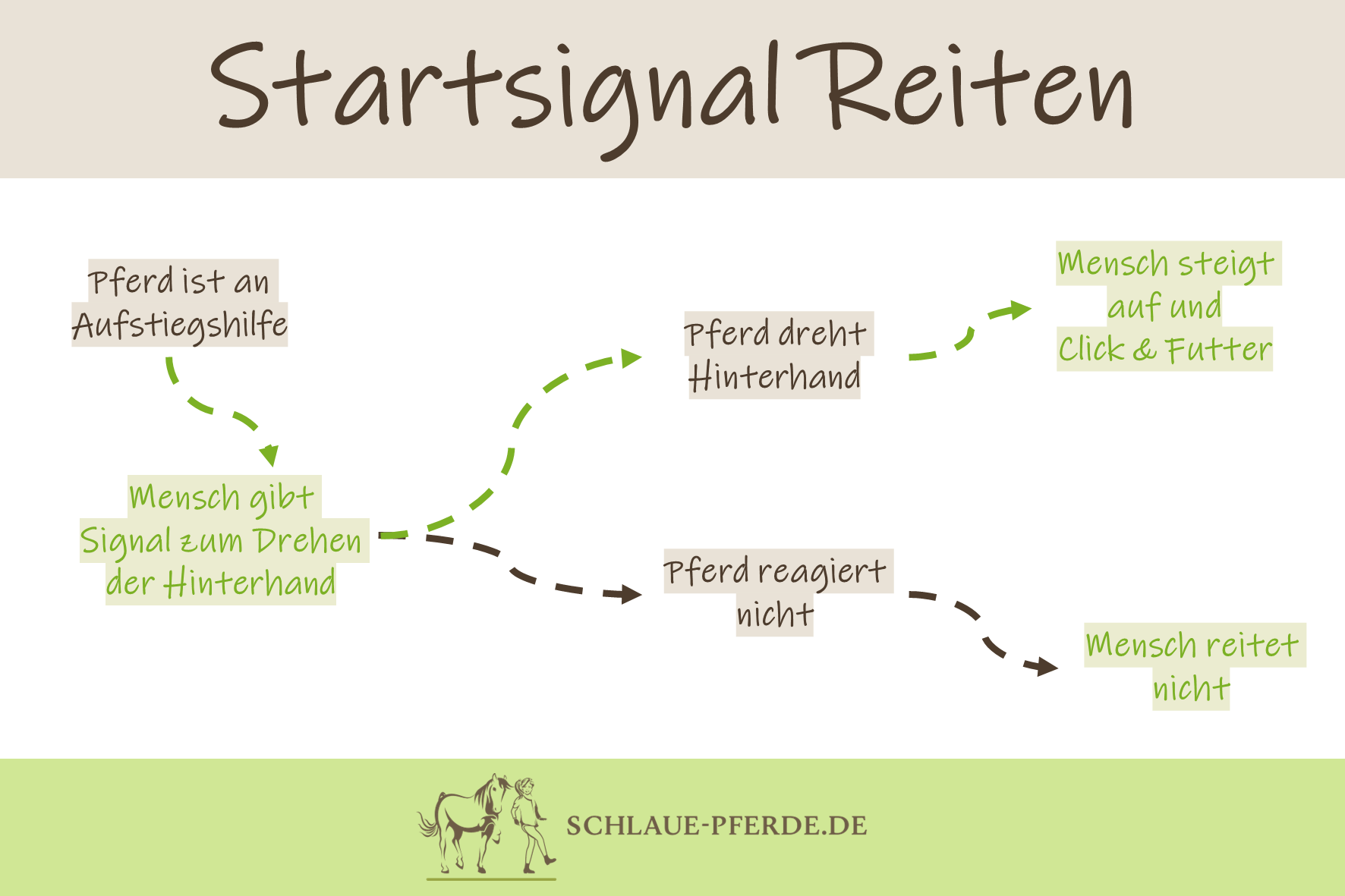 Schema, um ein Kooperationssignal als Startsignal zum Aufsteigen zu trainieren - pferdegerechtes Reiten - Clickertraining