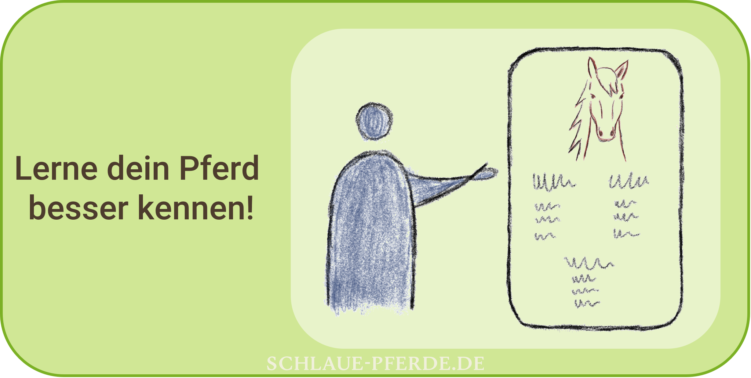 Lerne dein Pferd besser kennen