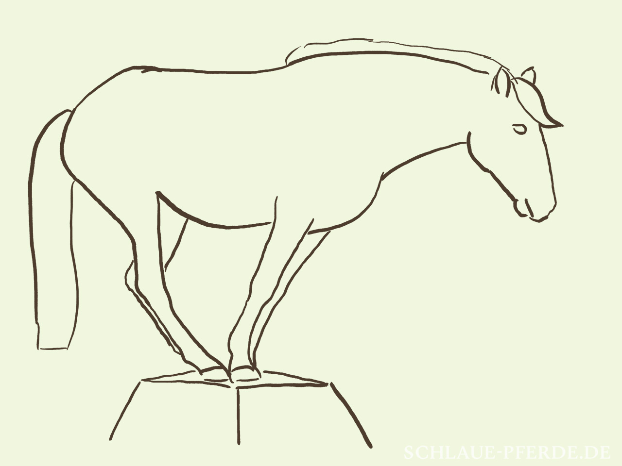 Zeichnung Pferd in der Zirkuslektion Bergziege auf dem Podest