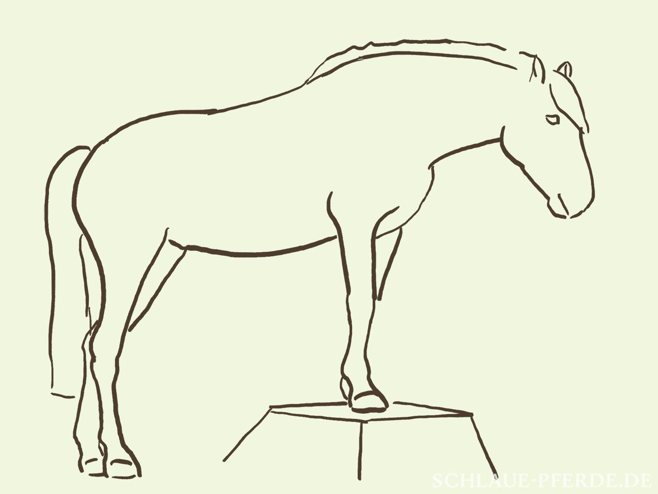 Zeichnung Pferd steht mit den Vorderbeinen auf dem Podest, Zirkuslektion