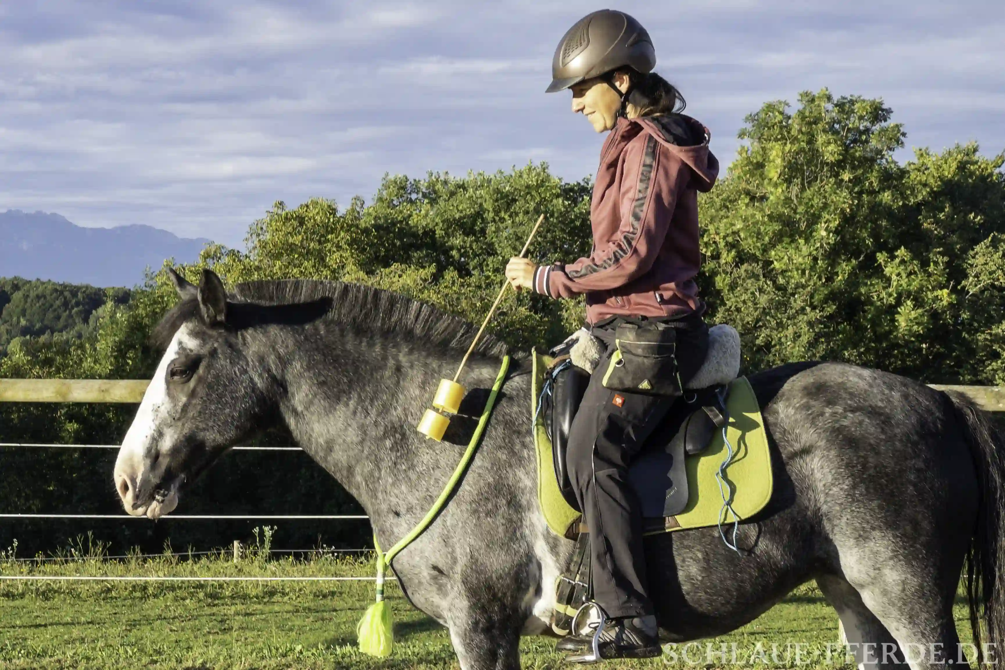 Schultertarget unter dem Sattel, Jungpferd selbst zum Reitpferd ausbilden