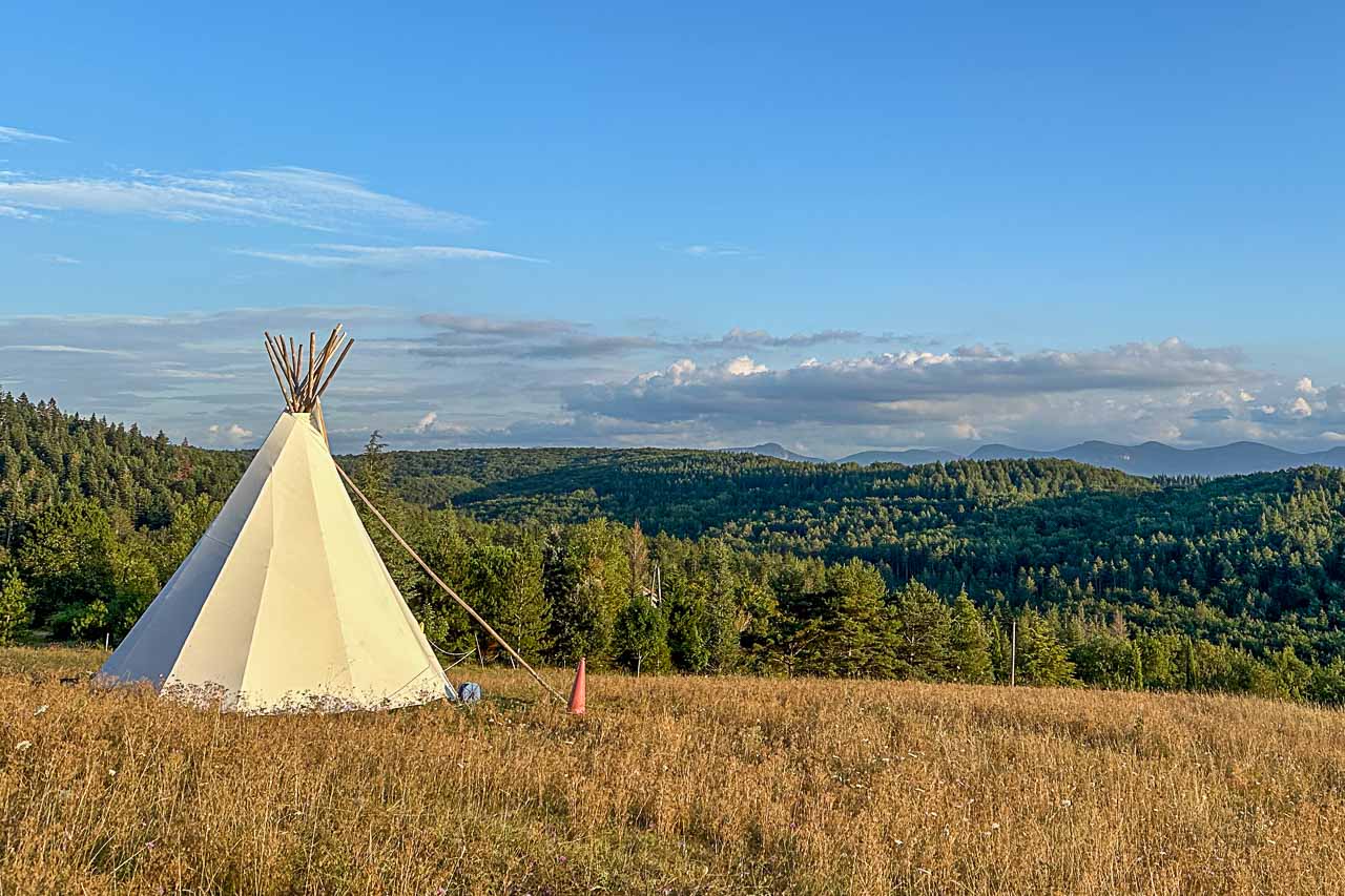 Sommercamp bei Nina Steigerwald, Einreiten von Jungpferden mit positiver Verstärkung