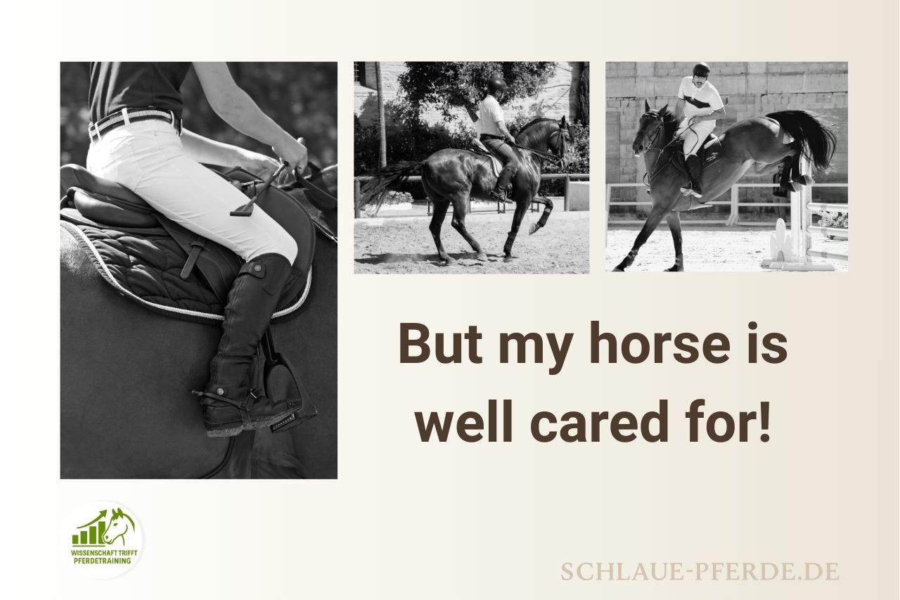 Wissenschaft trifft Pferdetraining, Header Leistungssport, Pferdesport, verbessern