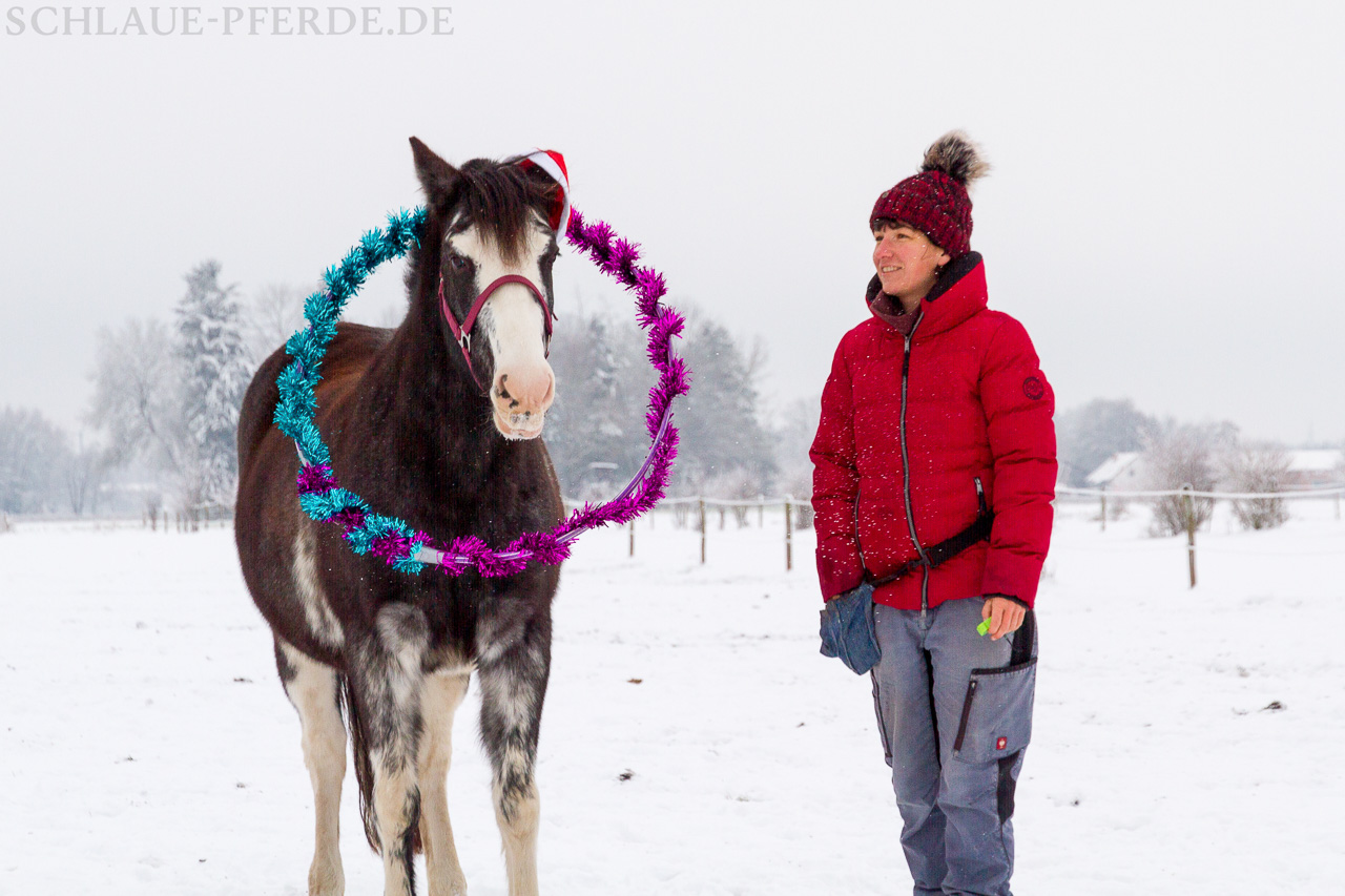 Zirkustrick Hula Hoop Reifen über den Hals werfen. Reifen liegt über dem Pferdehals.