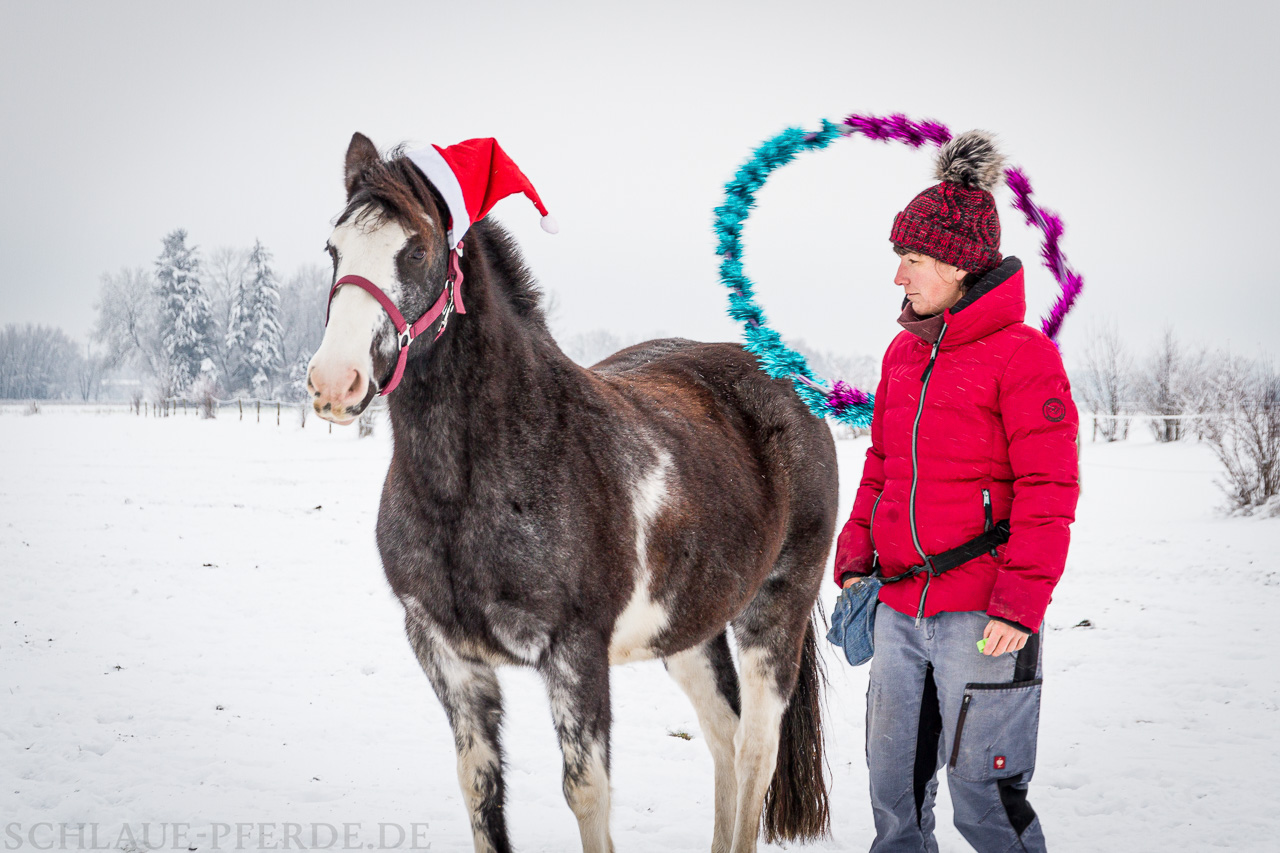 Zirkustrick Hula Hoop Reifen über den Hals werfen - Reifen fliegt am Pferd vorbei.